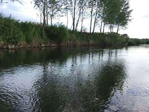 新站龙凤周边环境 