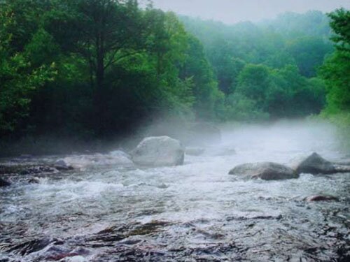 新站龙凤周边环境 