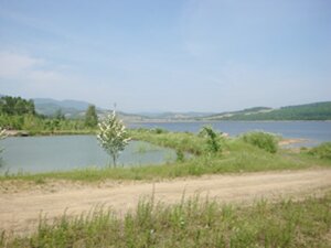 新站龙凤周边环境 